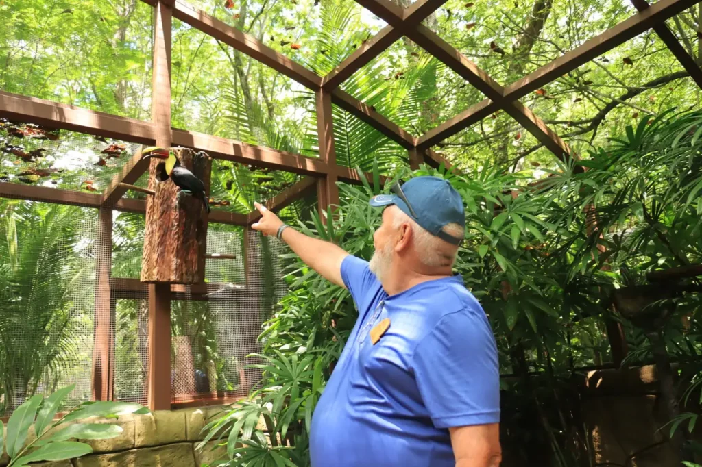 Visitor watching a toucan in the aviary on an animal sanctuary tour near Guanacaste, Costa Rica