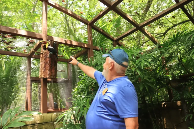 Visitor watching a toucan in the aviary on an animal sanctuary tour near Guanacaste, Costa Rica