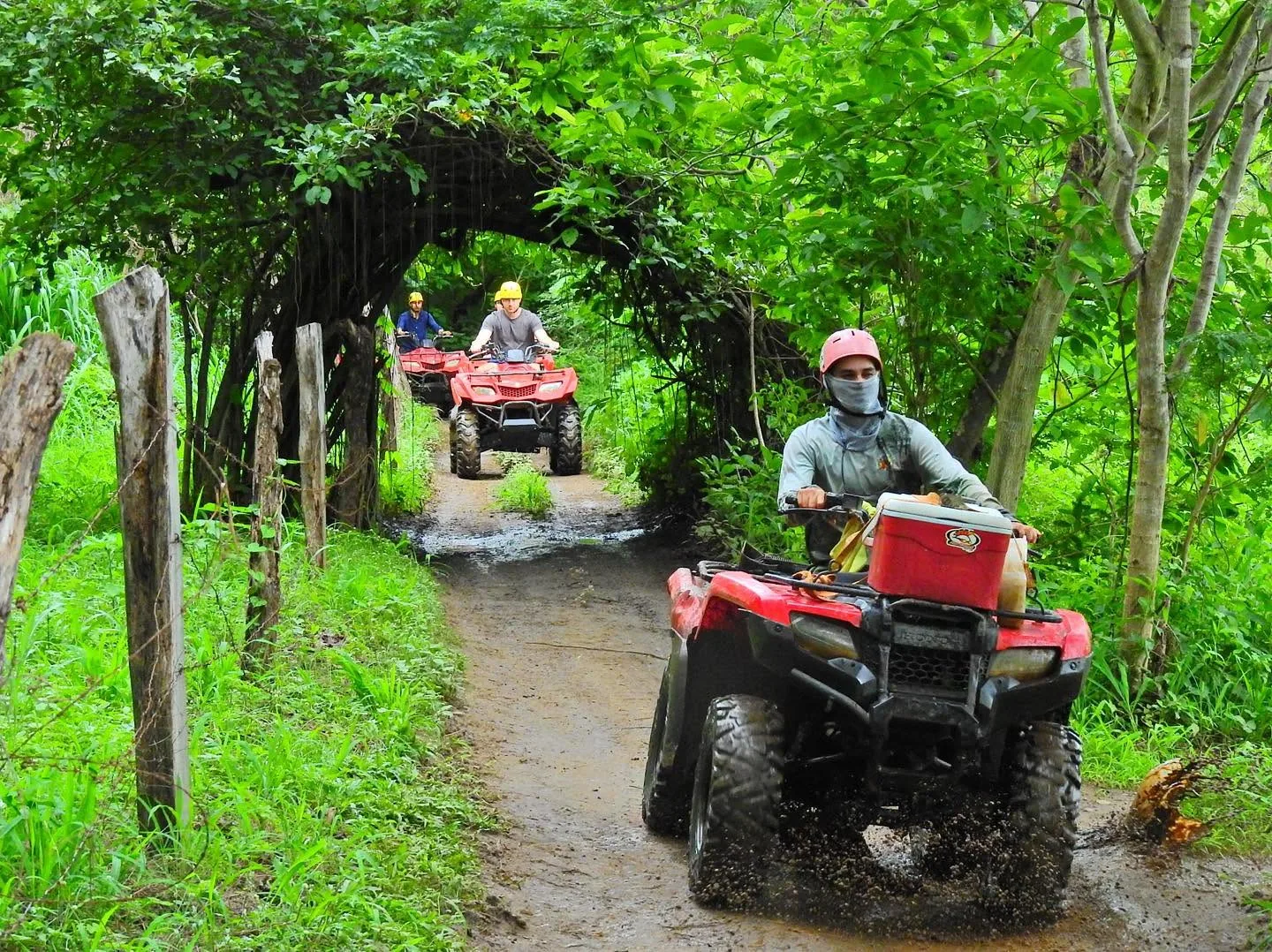 Group riding ATVs through a green forest tunnel in the rainy season at Congo Trail, Guanacaste
