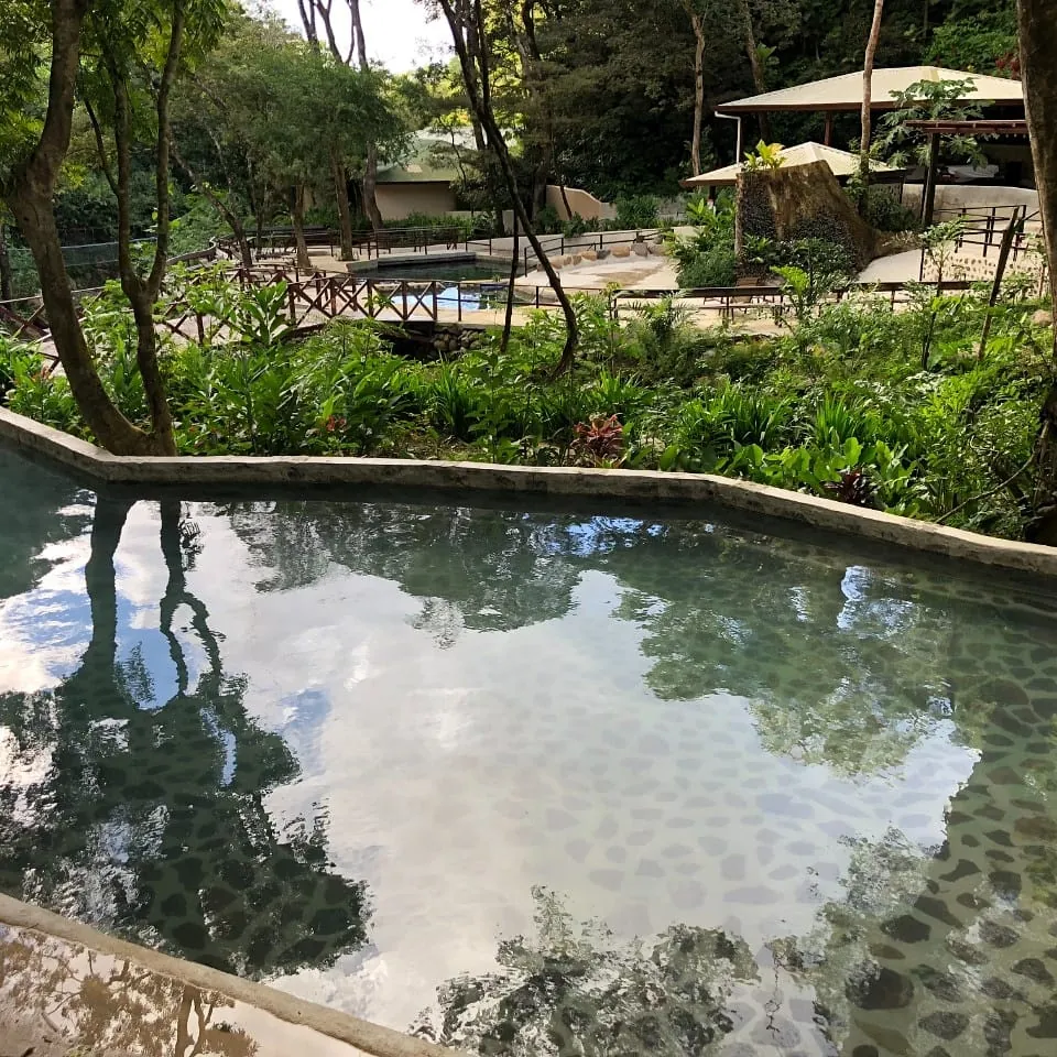 Volcanic hot spring pool in the forest at Buena Vista, Rincón de la Vieja, Costa Rica