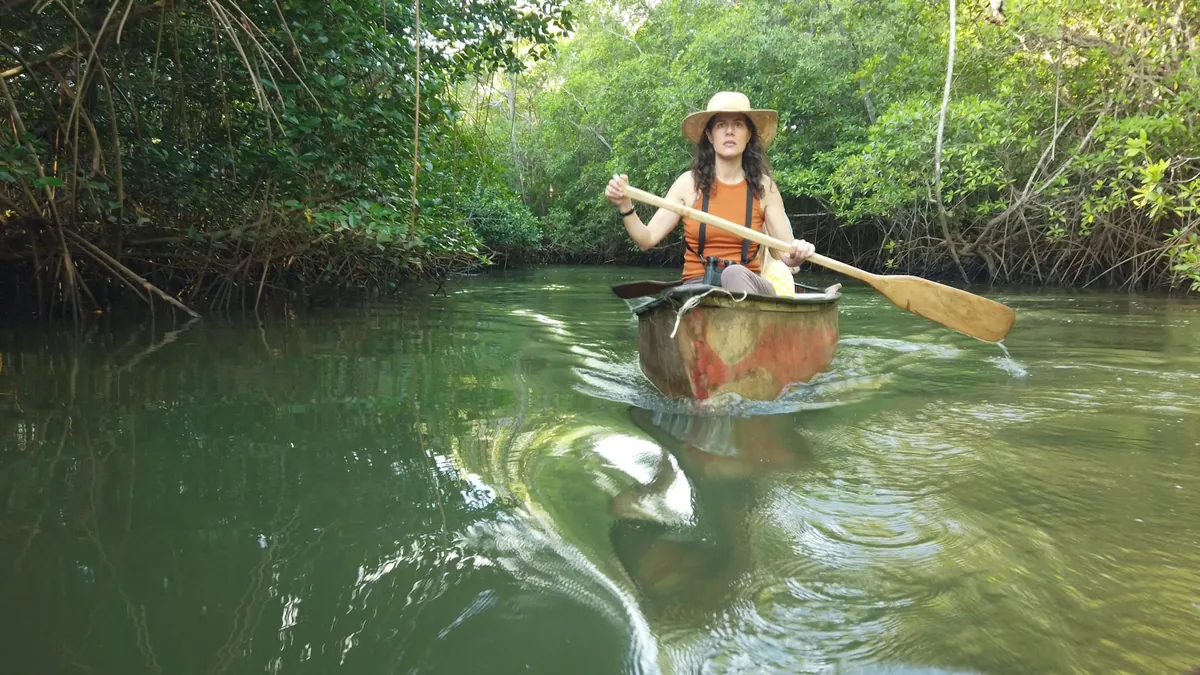 Paddling a canoe through the mangrove channels at Playa Grande, Guanacaste, Costa Rica