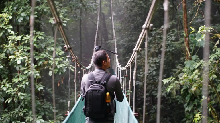 Visitor crossing a canopy hanging bridge on a Tenorio rainforest tour in Costa Rica