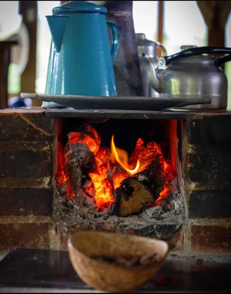 Traditional wood fire used to roast cacao and coffee on a Tenorio farm tour