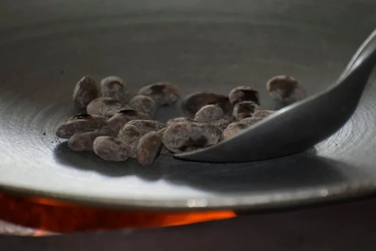 Roasting cacao beans over a wood fire on a traditional Costa Rica chocolate tour