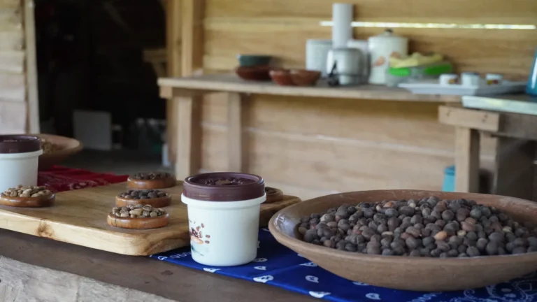Roasted coffee samples and tasting on a Costa Rica coffee and chocolate tour
