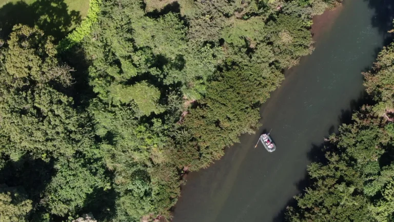 Top-down aerial view of a raft on the Corobici River float tour through the forest, Costa Rica
