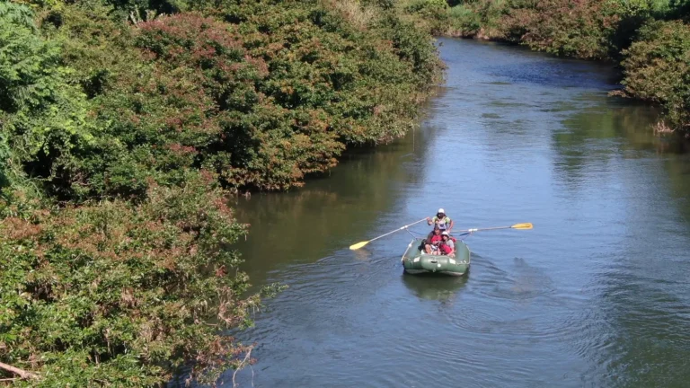 Aerial view of a raft on a wide bend of the Corobici River, float tour Guanacaste