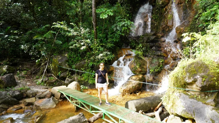 Visitor on a footbridge in front of a forest waterfall, hanging bridges waterfall tour Guanacaste