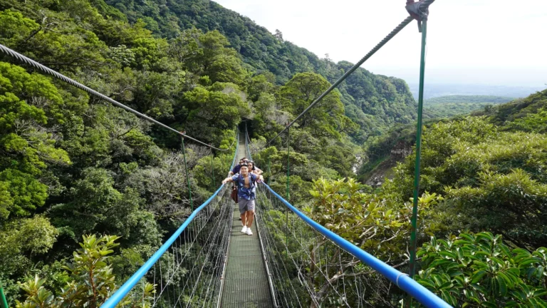 Two visitors on a suspension bridge above the forest canopy with a valley view near Miravalles, hanging bridges waterfall tour, Guanacaste, Costa Rica