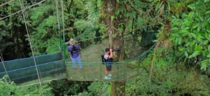 Canopy platform on the hanging bridges, Tenorio, Costa Rica