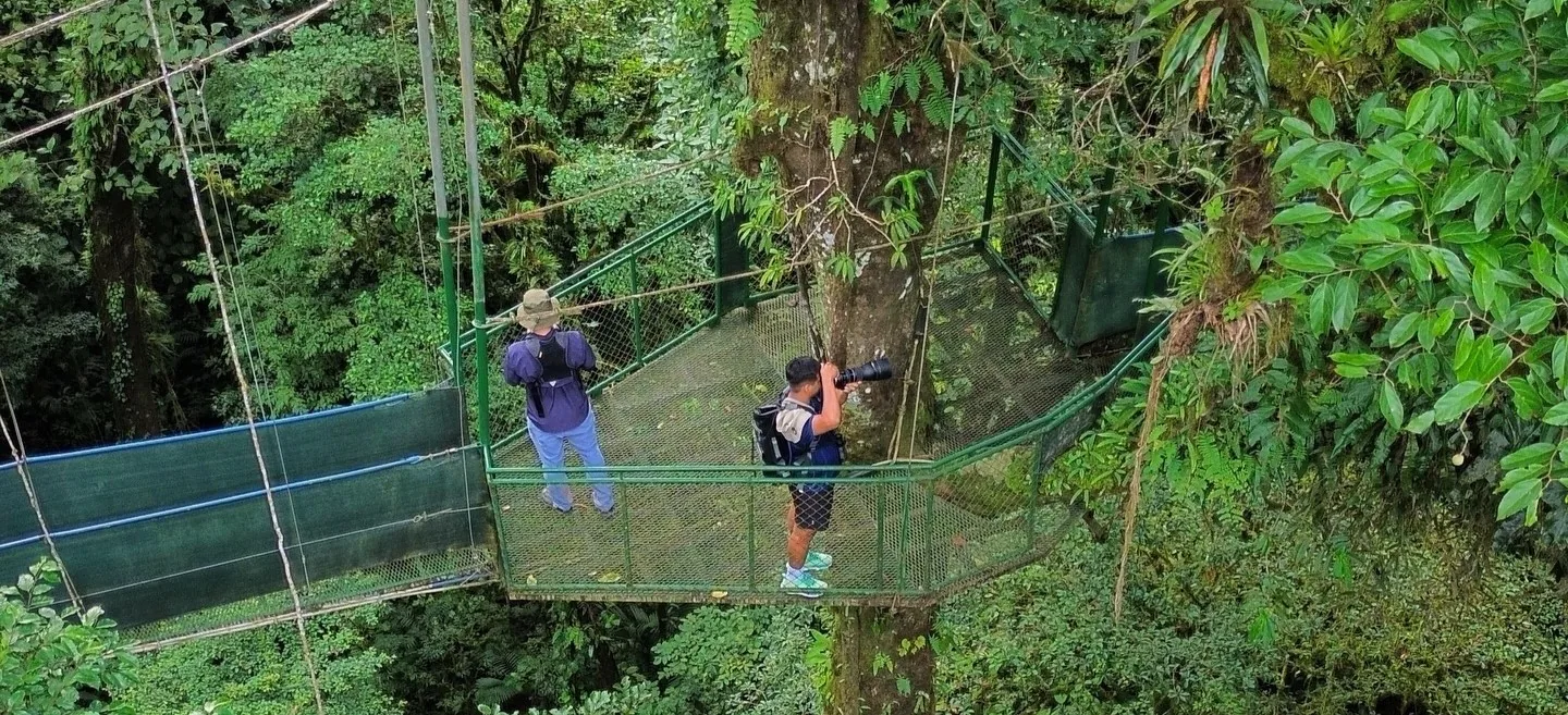 Canopy observation platform on the Heliconias hanging bridges, Tenorio rainforest, Costa Rica