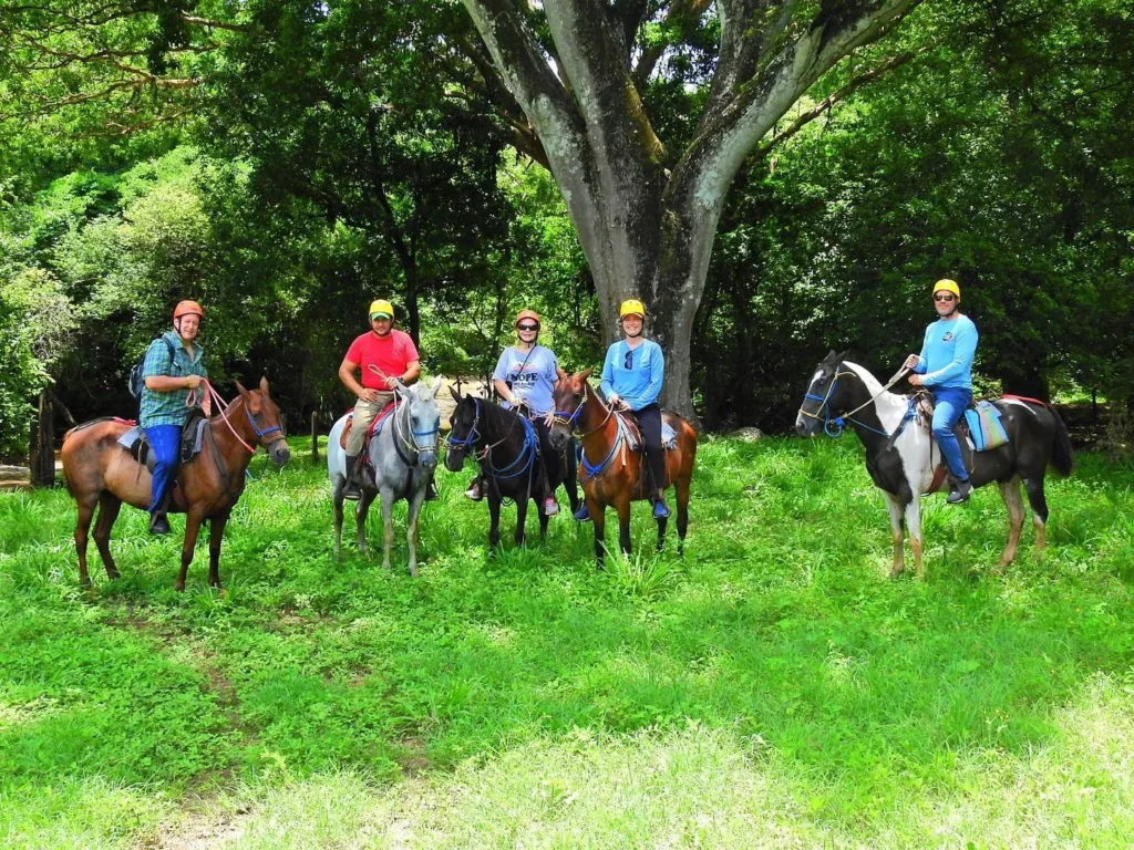 Group of riders on horseback under a large tree in the dry forest at Congo Trail, Guanacaste