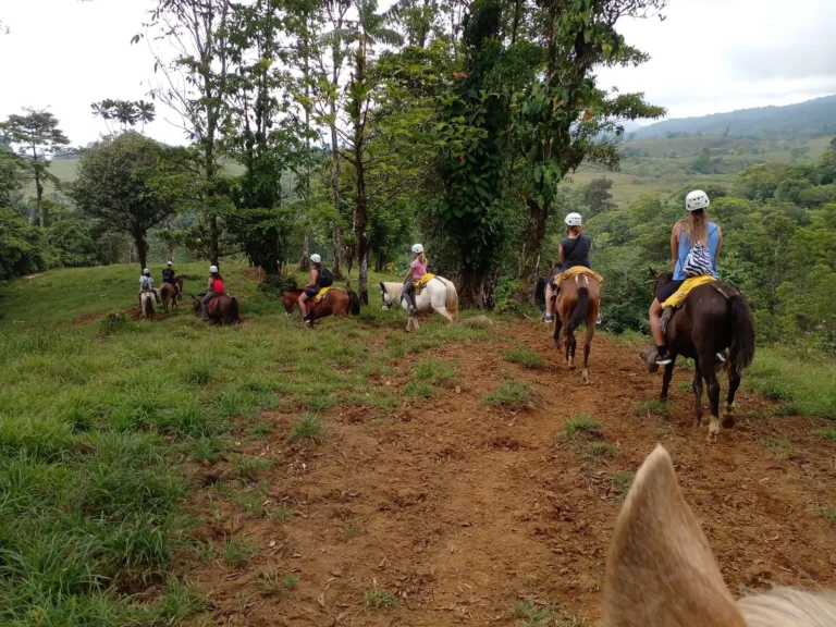 Group of riders on a forest trail descending toward the Río Celeste rainforest valley, Costa Rica