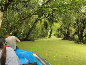 Raft on the lagoon in the Tenorio rainforest, Costa Rica