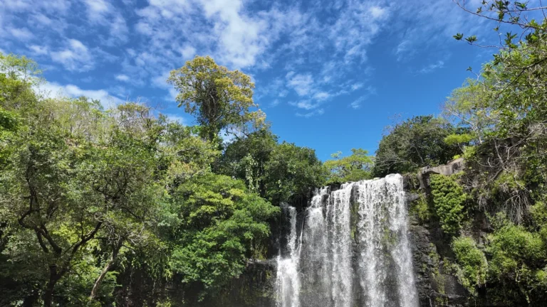 The wide cascade of Llanos de Cortés waterfall under a blue sky — Guanacaste waterfall tour, Costa Rica
