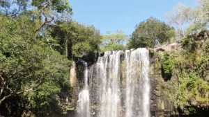Tropical dry forest around Llanos de Cortés waterfall, Guanacaste, Costa Rica
