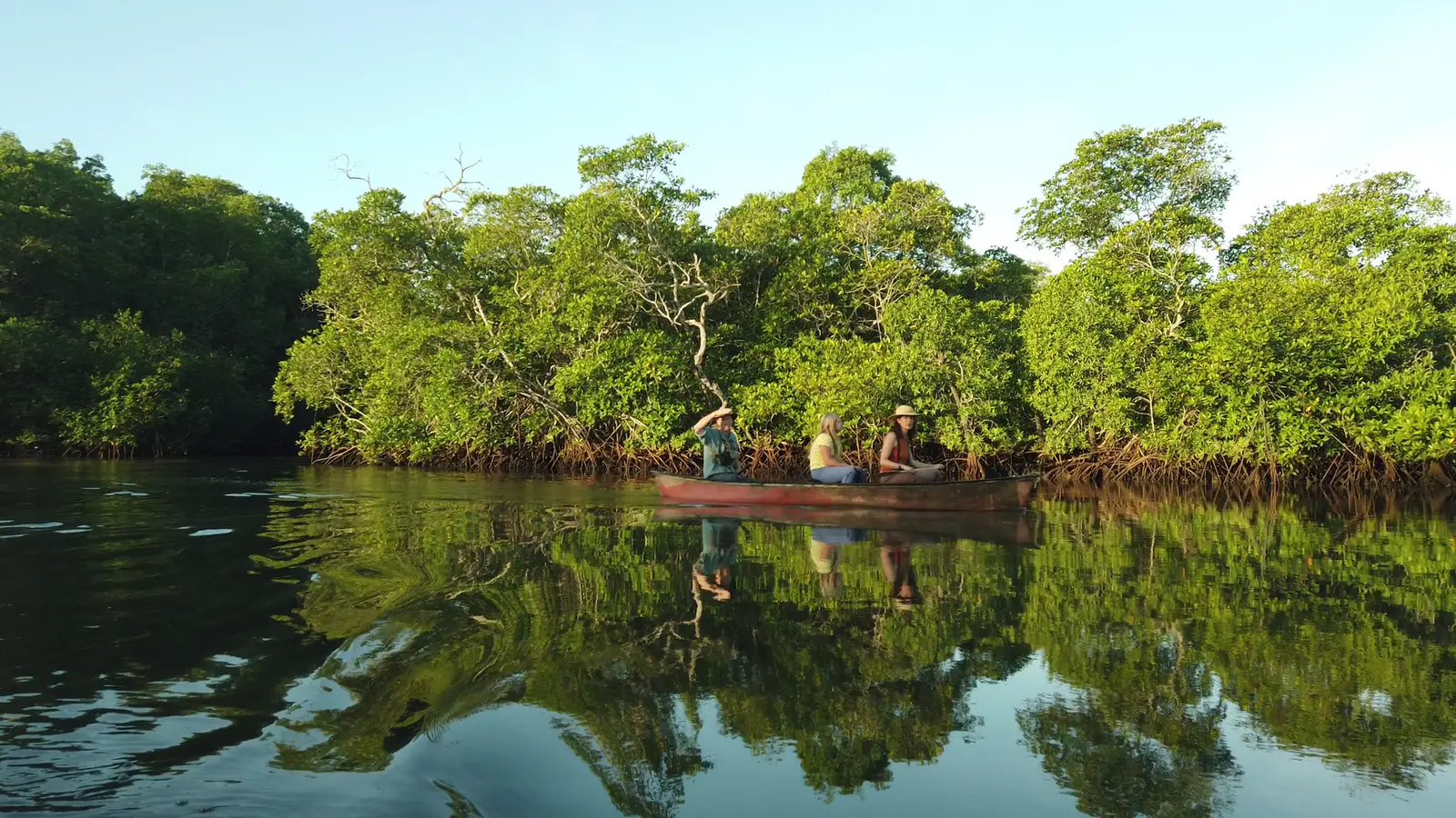 Canoe reflected on the calm mangrove water, Playa Grande, Guanacaste