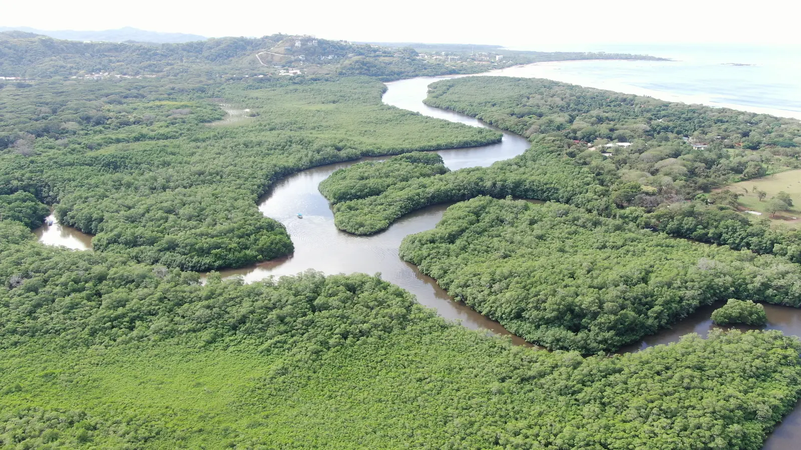 Aerial view of the winding mangrove estuary at Playa Grande, Guanacaste