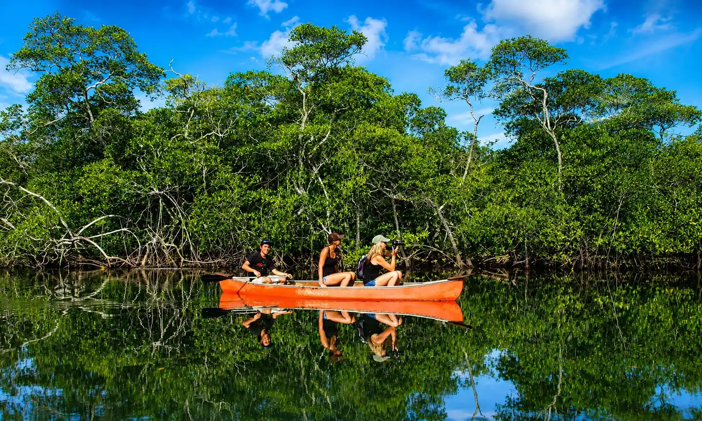Private mangrove canoe experience in Guanacaste, Costa Rica