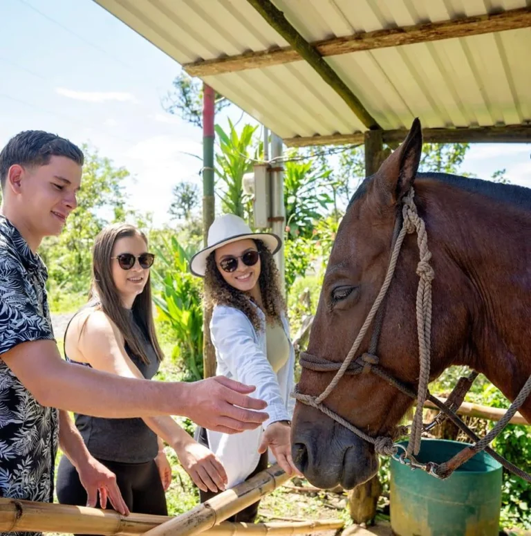 Visitors meeting the calm horses before a Río Celeste horseback riding tour in the Tenorio rainforest, Costa Rica