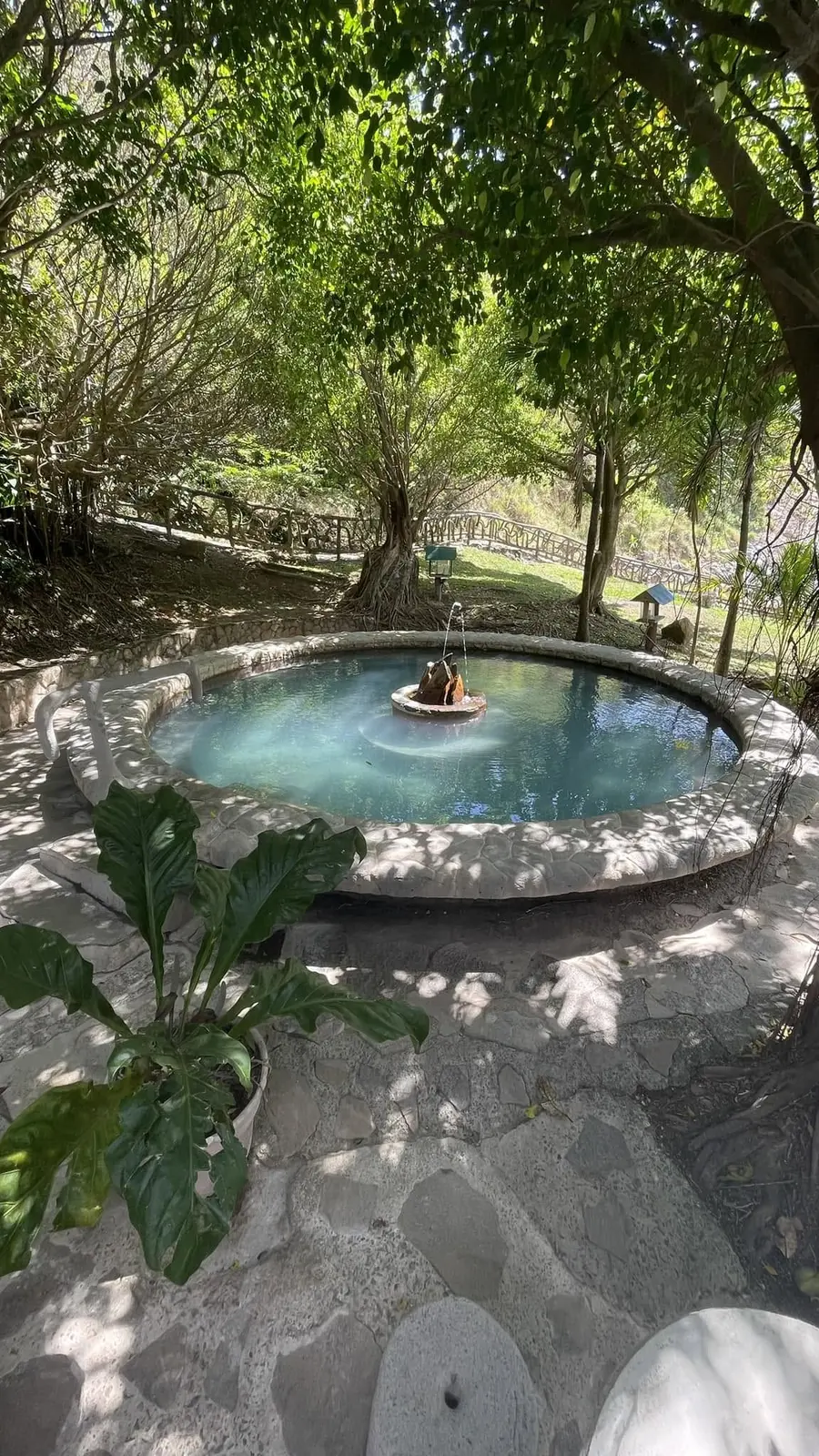 Thermal pool by day at the Miravalles hot springs, Guanacaste, Costa Rica