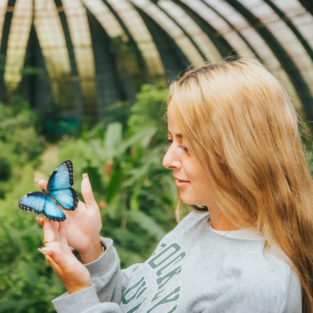 Visitor holding a blue morpho butterfly inside the domed Monteverde cloud forest butterfly garden