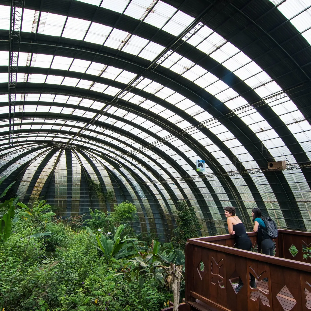 The Butterfly Dome at Monteverde, Costa Rica