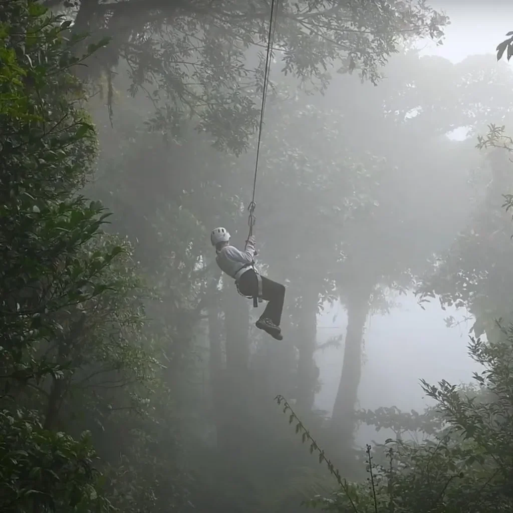 Zipline rider in the misty Monteverde cloud forest