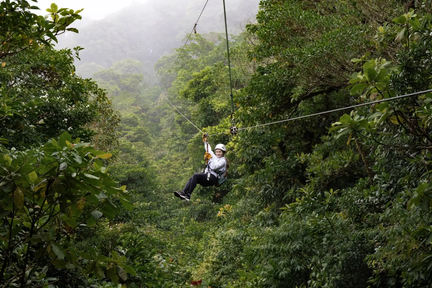 Cloud Forest Canopy Tour at Monteverde