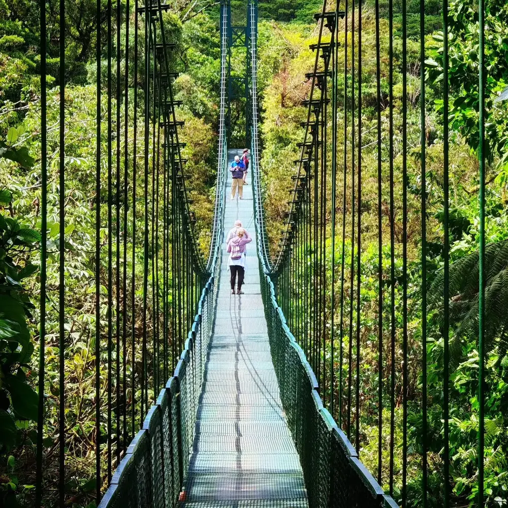 Visitors walking across a long hanging bridge in the Monteverde cloud forest