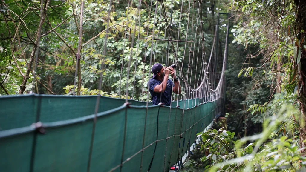 Naturalist guide photographing wildlife from a canopy bridge on a Tenorio rainforest tour