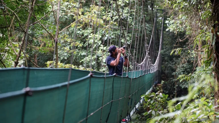 Naturalist guide photographing wildlife from a canopy bridge on a Tenorio rainforest tour