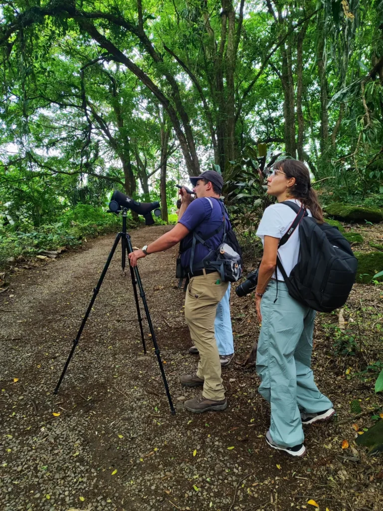 Naturalist guide and birders with a spotting scope on a rainforest trail in Bijagua, Costa Rica