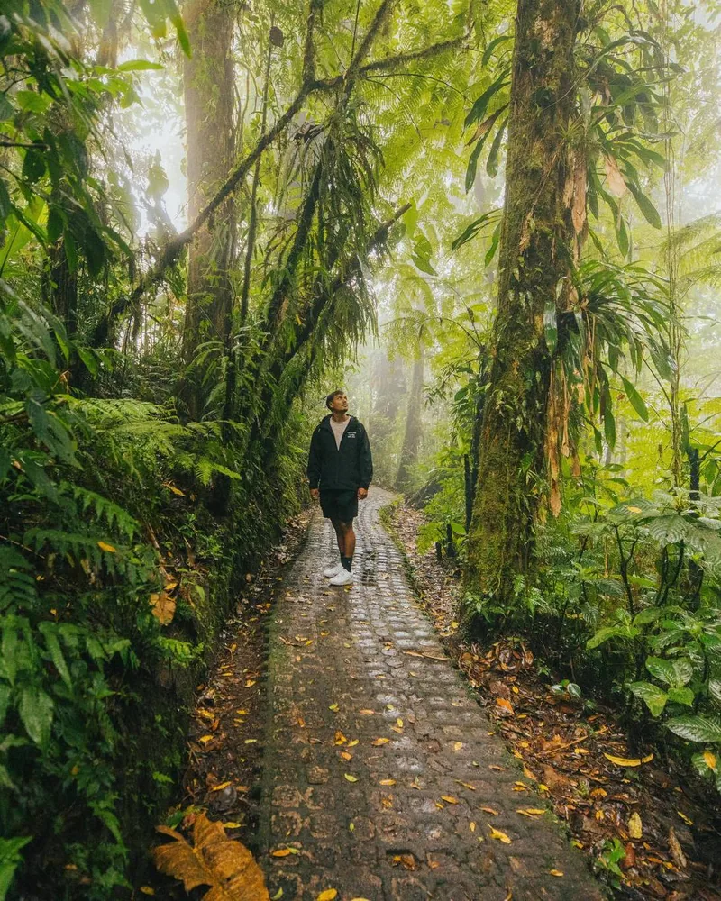 Cloud forest trail on a nature experience in Guanacaste, Costa Rica