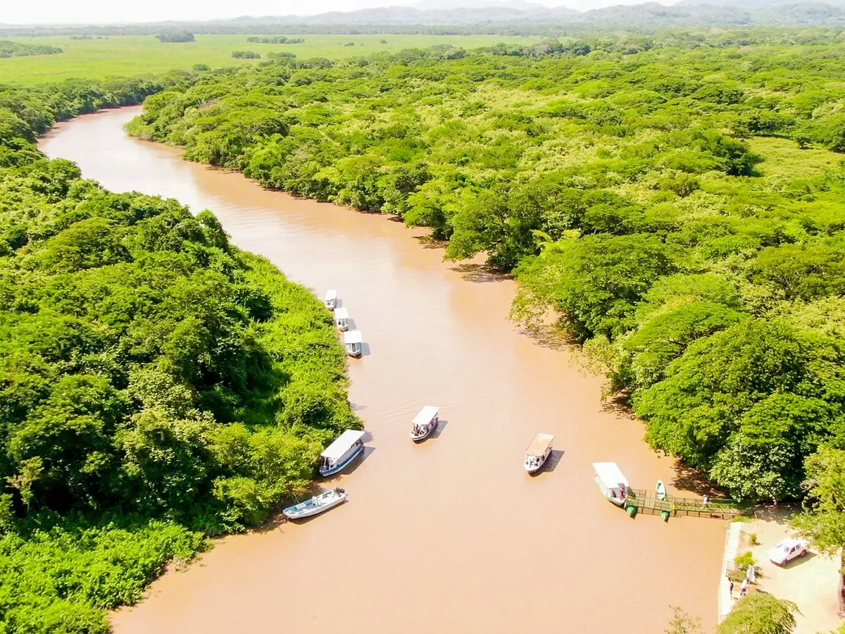 Lunch & a local touch at Palo Verde, Guanacaste