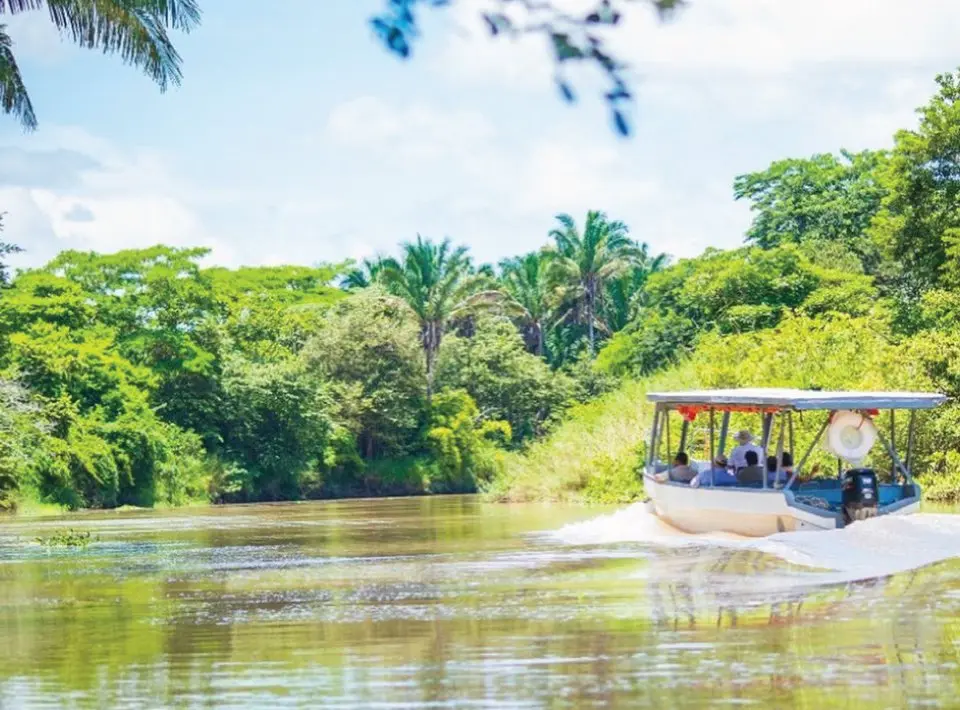 Boat cruise on the Tempisque River through Palo Verde, Guanacaste, Costa Rica