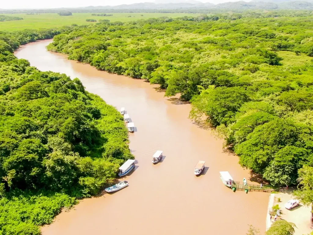 Aerial view of boats on the Tempisque River, Palo Verde wetland tour, Guanacaste, Costa Rica