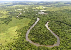 Aerial view of the winding Tempisque River and Palo Verde wetlands, Guanacaste, Costa Rica