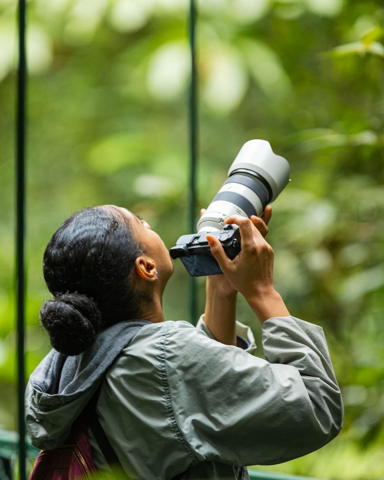 Wildlife photography tour Guanacaste