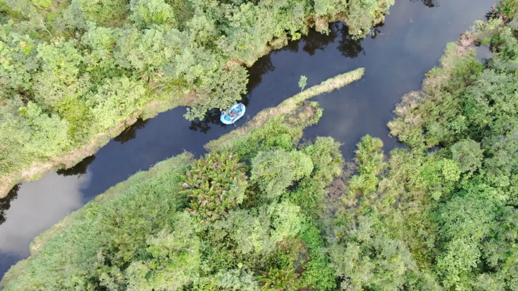 Aerial view of a raft on the still lagoon float in the Tenorio rainforest, Costa Rica