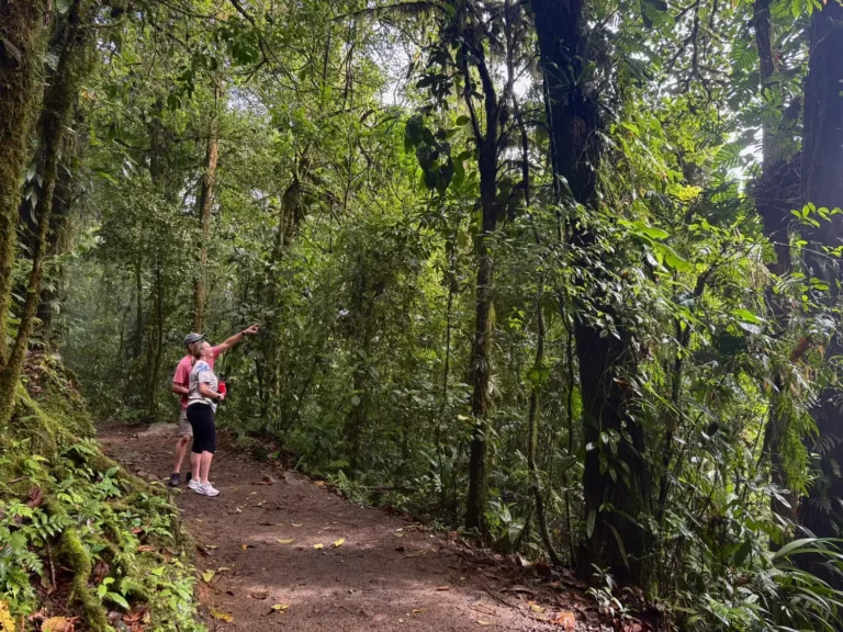 Couple spotting wildlife on a rainforest trail on a Tenorio canopy tour, Costa Rica