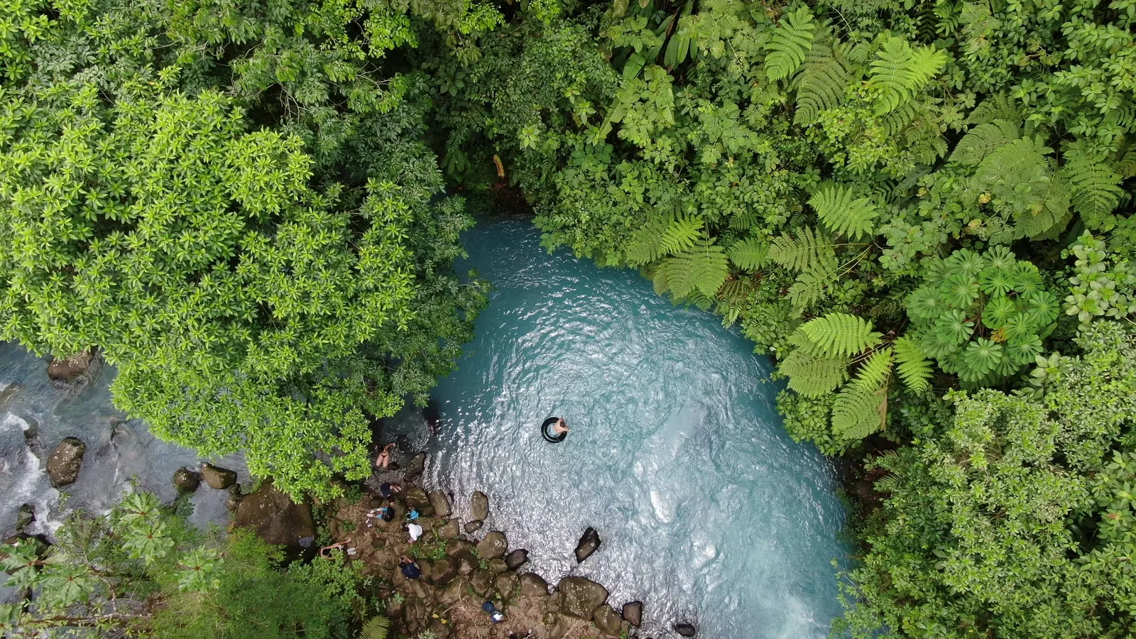 Aerial view of the milky-blue Río Celeste at a private swimming spot, Costa Rica