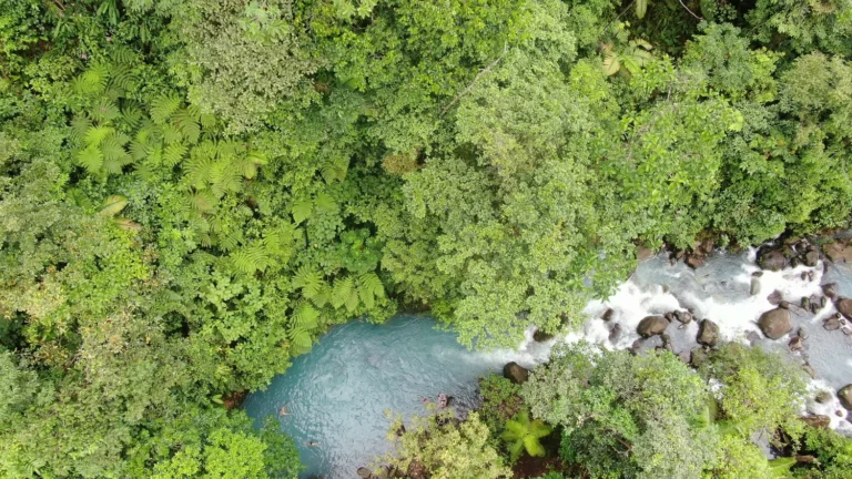 Aerial view of the blue Río Celeste winding through the Tenorio rainforest, Costa Rica