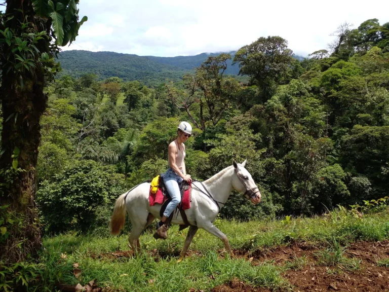 Visitor on a white horse on a rainforest trail below the Tenorio massif, Costa Rica