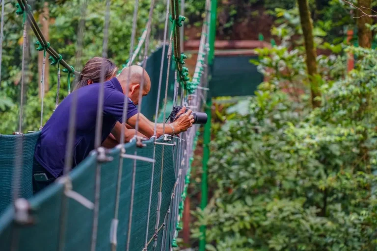 Wildlife photographer on a hanging bridges canopy tour in the Tenorio rainforest, Costa Rica