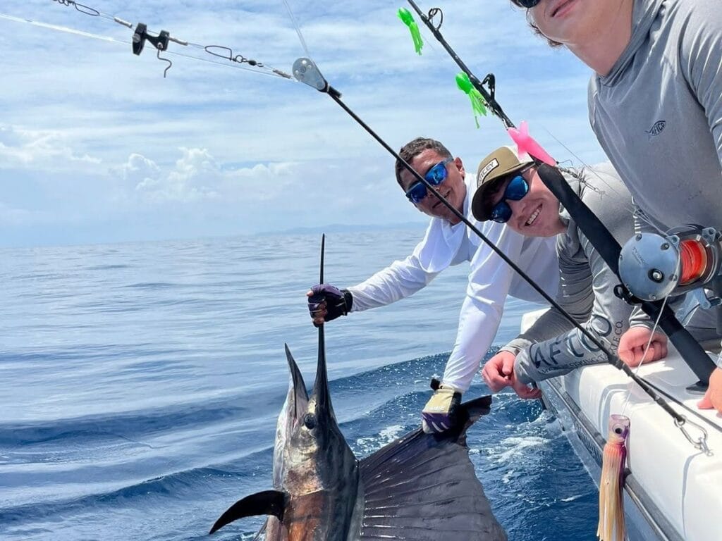 Sailfish held alongside the boat before release in the Gulf of Papagayo, Guanacaste, Costa Rica