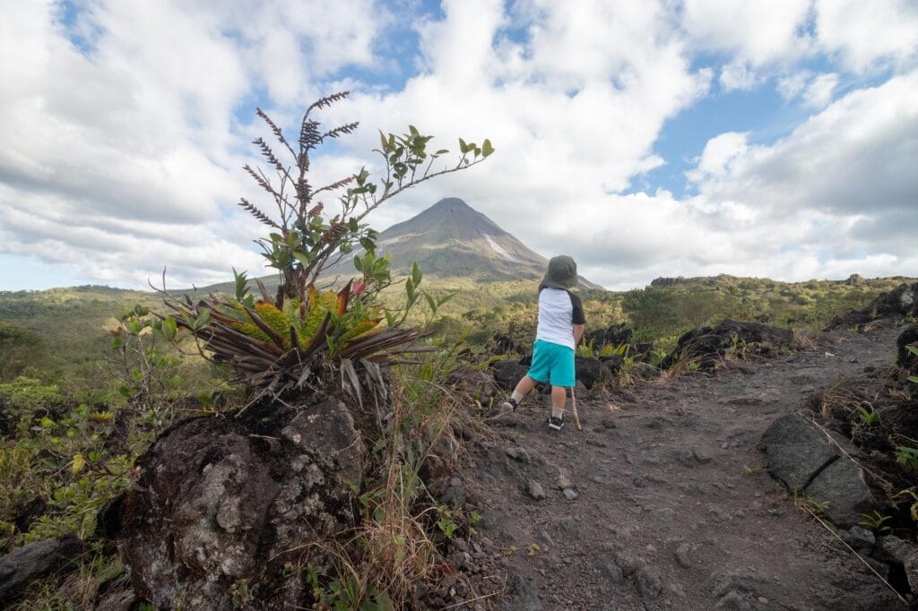 Bromeliad rooted directly in volcanic rock on the Arenal lava flow, with the cone behind