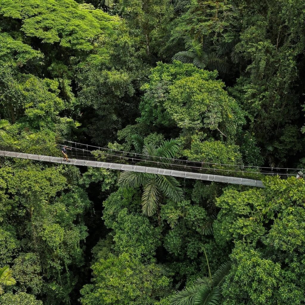 Hanging bridge walkway through the forest canopy near Arenal, Costa Rica