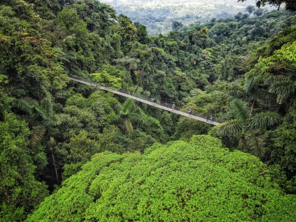 Guests walking a suspension hanging bridge through the Arenal rainforest, Costa Rica