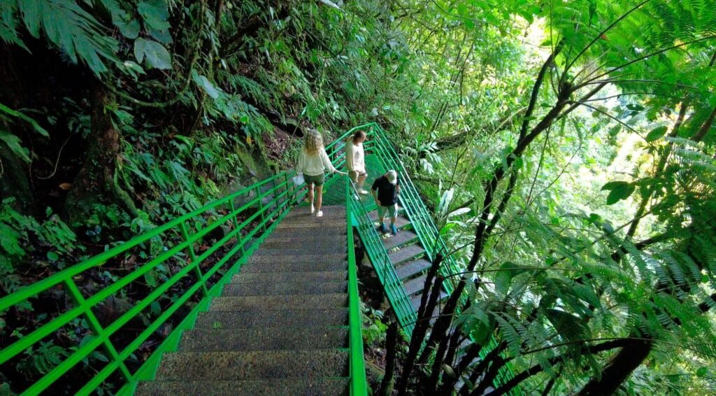 Concrete staircase descending through rainforest to La Fortuna Waterfall, Costa Rica
